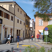 Dettaglio